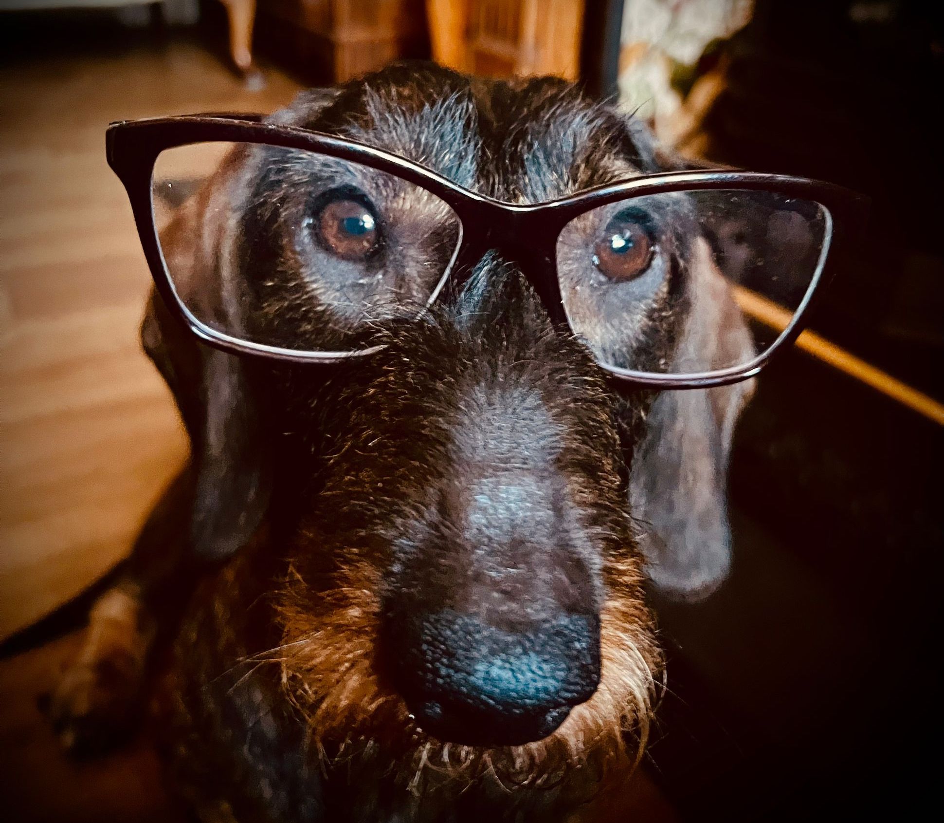 jelly in glasses